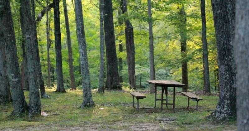 Les accessoires indispensables pour un camping écologique dans le Morvan