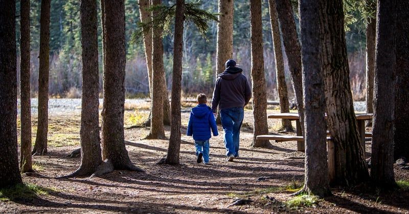 Randonnée en famille autour du Mont Beuvray : le guide facile